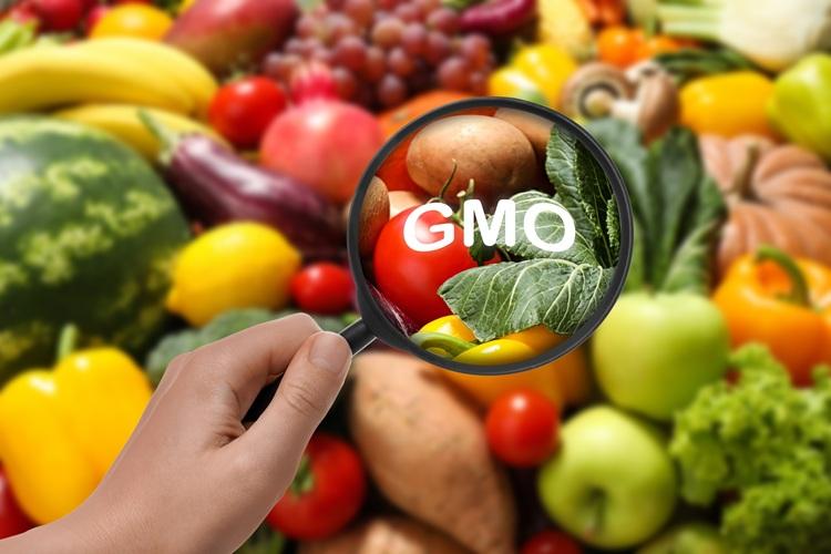 GMO GMO