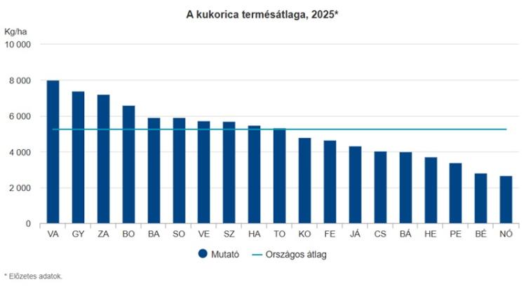 kukorica kukorica