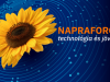 Napraforgó: technológia és jövőkép - Agroinform online konferencia