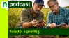 Agroinform Podcast: Új korszak a növénytermesztésben
