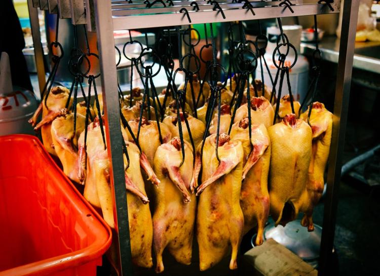 pekingi kacsa pekingi kacsa