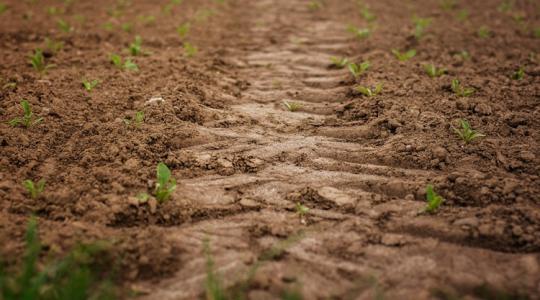 Hétvégi időjárás: Berobban a tavasz, de a hajnalok okozhatnak még gondot Hétvégi időjárás: Berobban a tavasz, de a hajnalok okozhatnak még gondot