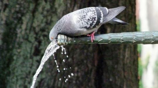 3 napos előrejelzés: Kemencében érezhetjük magunkat