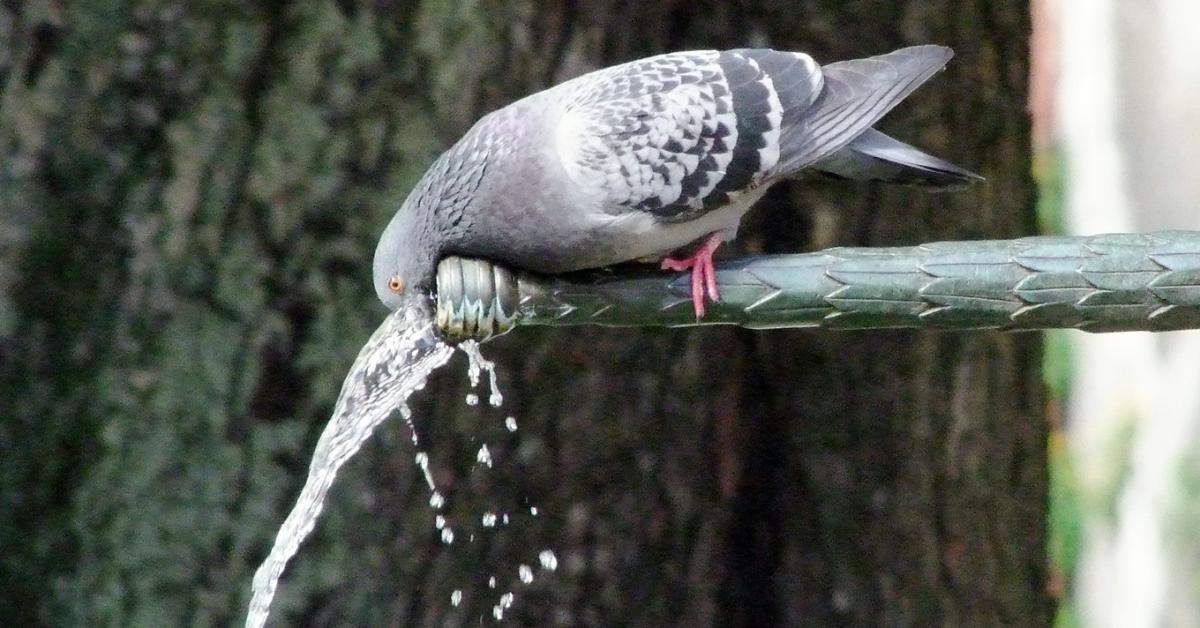 3 napos előrejelzés: Kemencében érezhetjük magunkat 3 napos előrejelzés: Kemencében érezhetjük magunkat