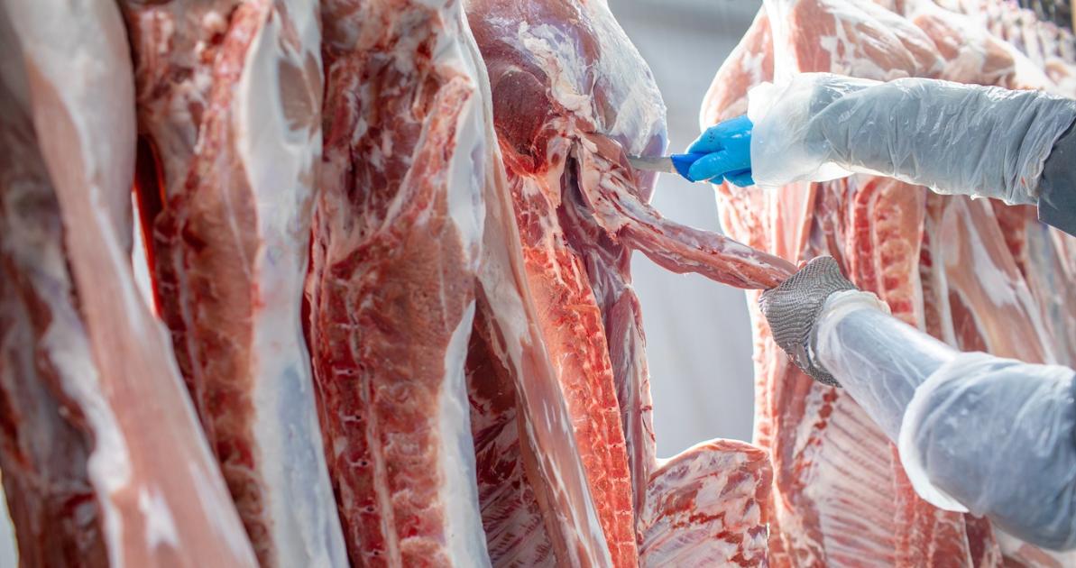 Esély a piac normalizálódására: exportlehetőséget kap a spanyol sertéshús Esély a piac normalizálódására: exportlehetőséget kap a spanyol sertéshús