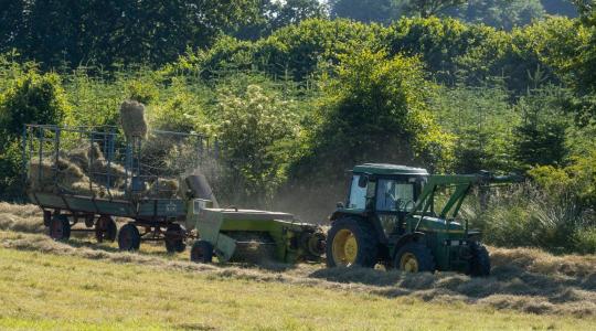 Hiába a jó gép, ha nincs mit betakarítani: csendben borul fel a takarmányellátás