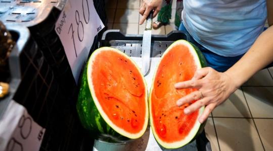 A legjobb magyar dinnyékből falatozhatsz teljesen ingyen: helyszínek, dátumok! A legjobb magyar dinnyékből falatozhatsz teljesen ingyen: helyszínek, dátumok!
