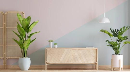 Növénytrend, ami nemcsak szép, de hasznos is