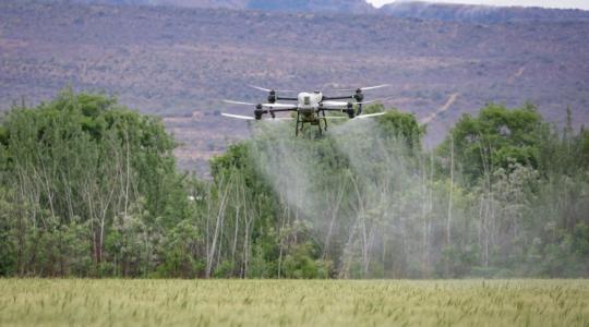 Permetező drónok: jó irányba halad Magyarország, de az áttöréshez még idő kell Permetező drónok: jó irányba halad Magyarország, de az áttöréshez még idő kell