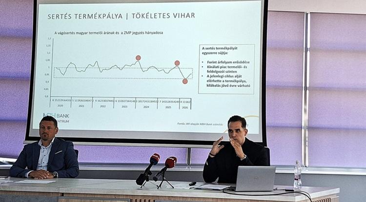 A sertésciklus extrém mélypontján A sertésciklus extrém mélypontján