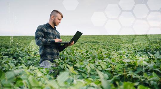 Adatból termés – robbanásszerűen felgyorsulhat a digitalizáció a földeken