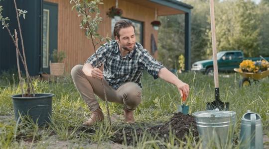 Ingyen facsemete a kertbe: indul a regisztráció, de gyorsnak kell lenned! Ingyen facsemete a kertbe: indul a regisztráció, de gyorsnak kell lenned!