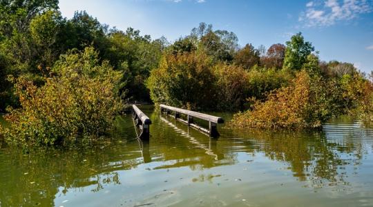 1 méter 1 nap alatt: mutatjuk, kell-e tartani az árvíztől a Dunán 1 méter 1 nap alatt: mutatjuk, kell-e tartani az árvíztől a Dunán