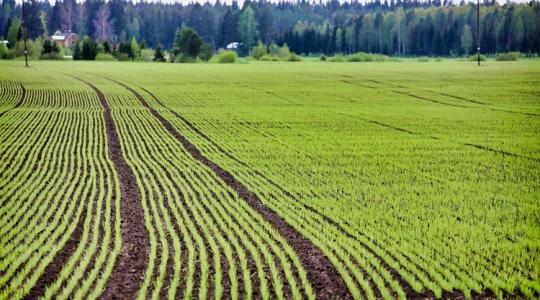 3 napos időjárás-előrejelzés: Permeteznél? Mutatjuk, milyen idő lesz!