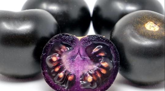 Génmódosított, mégis egészséges? Áttörés a paradicsom piacán Génmódosított, mégis egészséges? Áttörés a paradicsom piacán