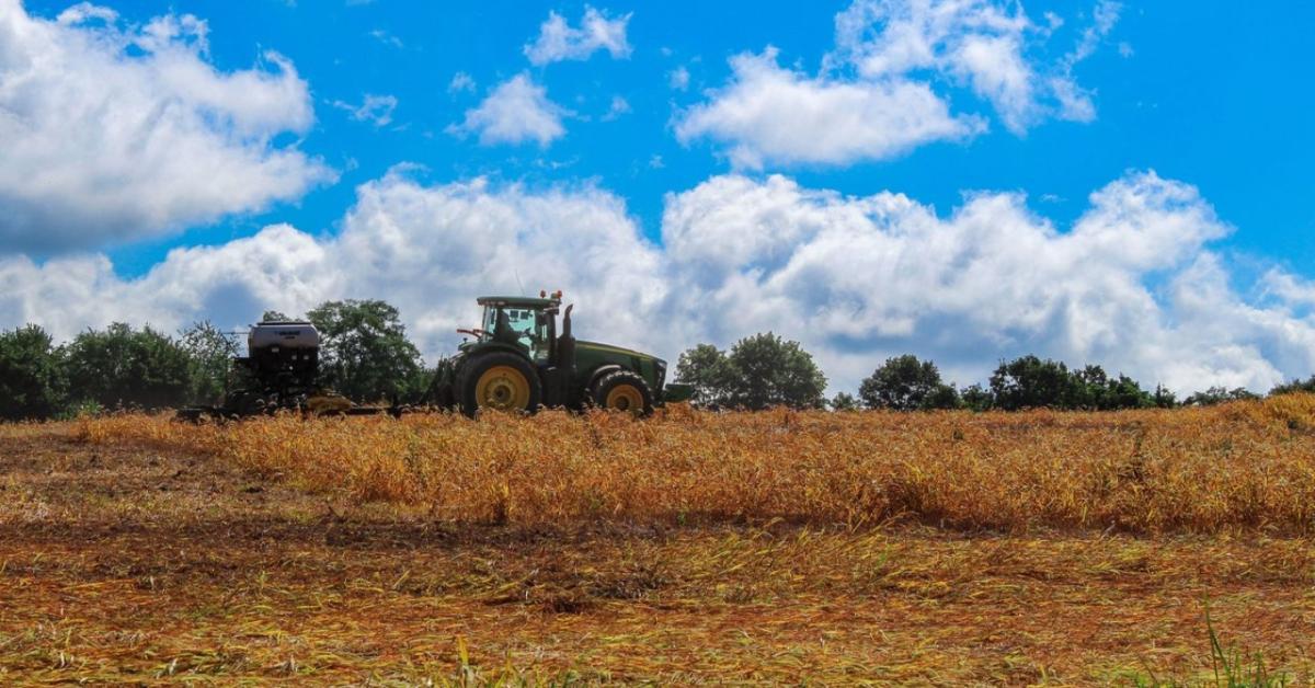 3 napos időjárás-előrejelzés: tovább fokozódik a forróság – messze még a felfrissülés 3 napos időjárás-előrejelzés: tovább fokozódik a forróság – messze még a felfrissülés