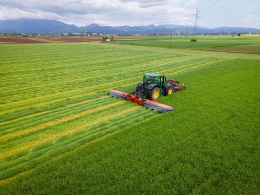 Újdonság Szlovéniából. Egyszerűen a legjobb…