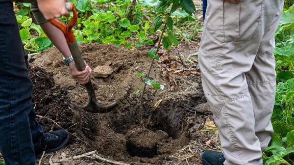 25. éves lett az Agrocontrol – jubileumi faültetés 25. éves lett az Agrocontrol – jubileumi faültetés