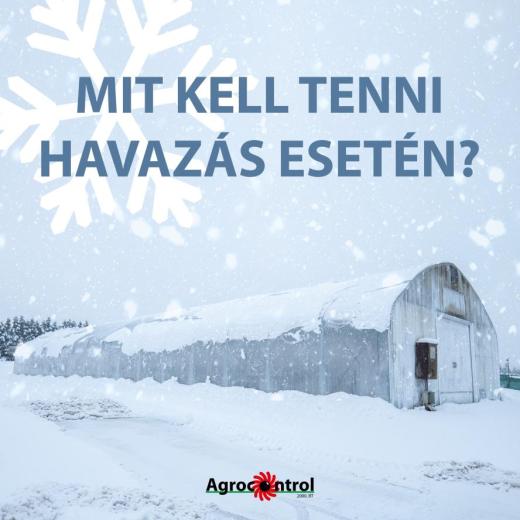 Mit kell tenni havazás esetén a növényházzal? Mit kell tenni havazás esetén a növényházzal?