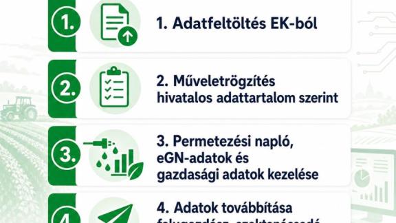 Töltsd fel az EK-t, és építsd fel a gazdaságod digitális hátterét!