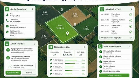 Töltsd fel az EK-t, és építsd fel a gazdaságod digitális hátterét!