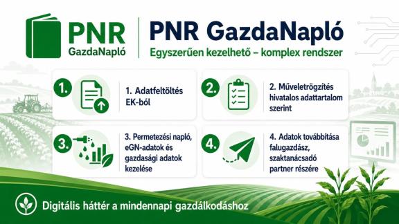 Töltsd fel az EK-t, és építsd fel a gazdaságod digitális hátterét!