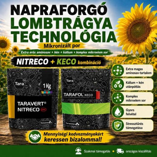 Célzott lombtrágya-technológia napraforgóban: aminosav, kálium, kén és mikroelemek egy kezelésben