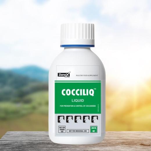 Új megoldás a kokcidiózis kezelésére: CocciLiq gyógynövényes itatófolyadék