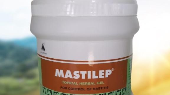 Mastilep tőgygyulladás elleni gyógynövényes tőgygél: 50% kedvezménnyel, az akciós készlet erejéig