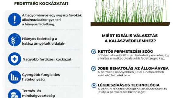 Kalászbetegségek ellen a megfelelő fedettség a kulcs Kalászbetegségek ellen a megfelelő fedettség a kulcs