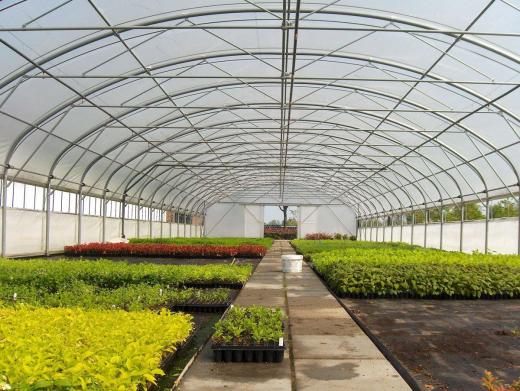 ROVERO TUNNEL - egyenesoldalfalú és alagútrendszerű növényházak