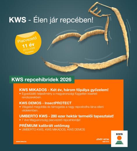 KWS repce vetőmagok 2026, katalógus