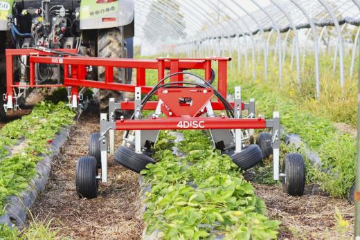 4DISC Szamóca technológia prospektus