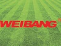 Weibang árlista