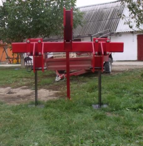 bull