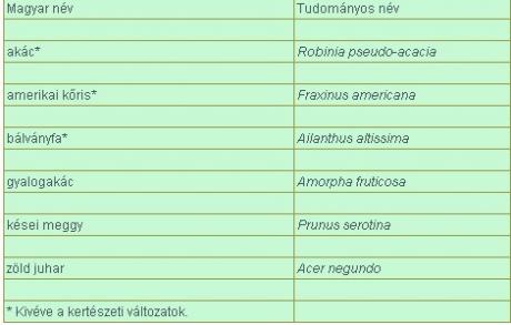 invm