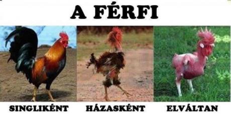 A férfi