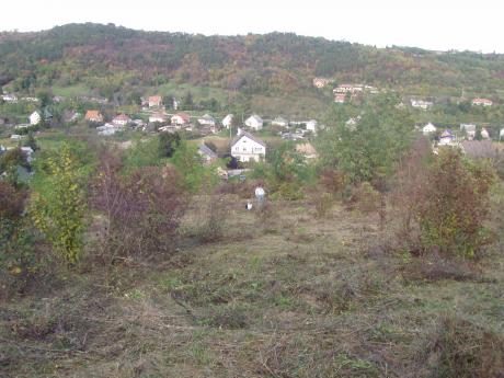 Panoráma