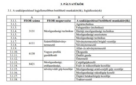 Mg tech pályatükre: