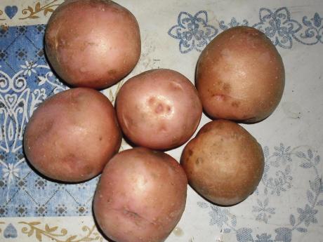 Balatoni Botond