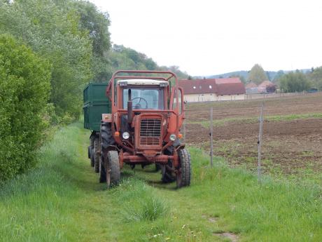 Mtz 50