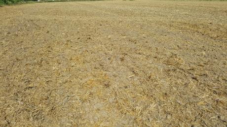 KubotaCD1400F