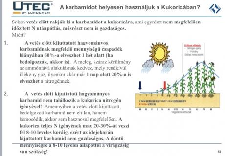 Urea kontra kukorica