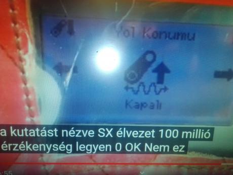 Basak