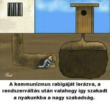 Nem ezt akartuk!