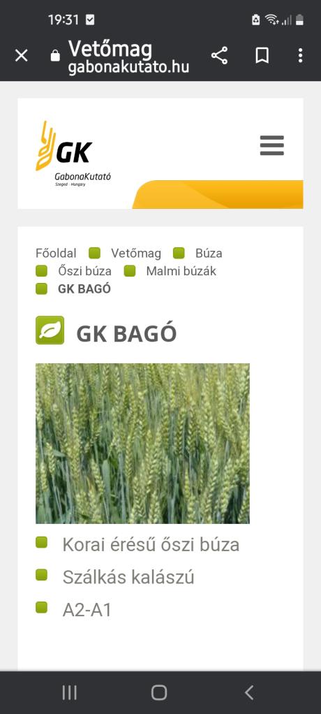 Bagó