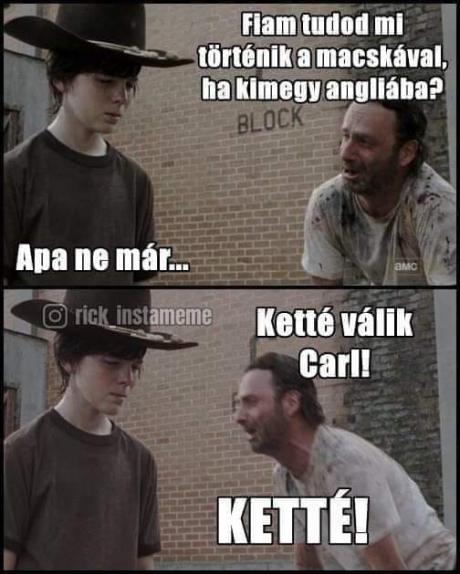 ÁTVÁLTOZÁS