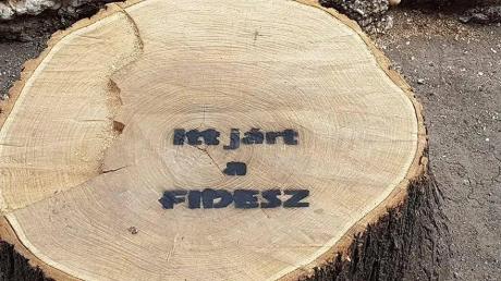 tisztelet
