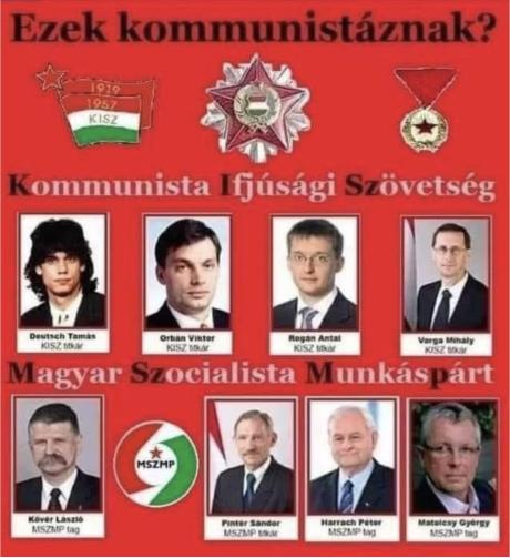 nemvicc