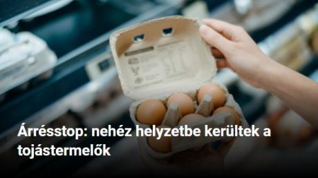 nemvicc